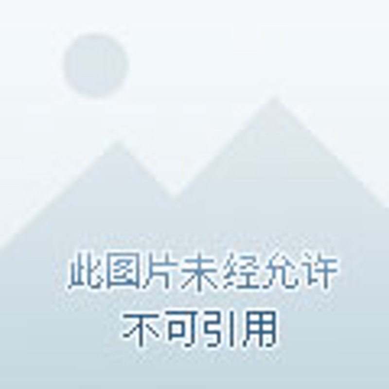 如何在家制作一杯专业级的橄榄风味咖啡?